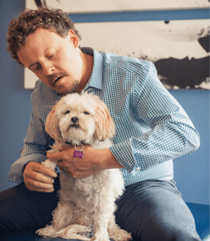 Dog Chiropractic Admustments for healthy dogs in Boulder, Colorado